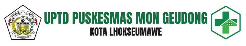 Dinas Komunikasi Informatika dan Persandian Kota Lhokseumawe